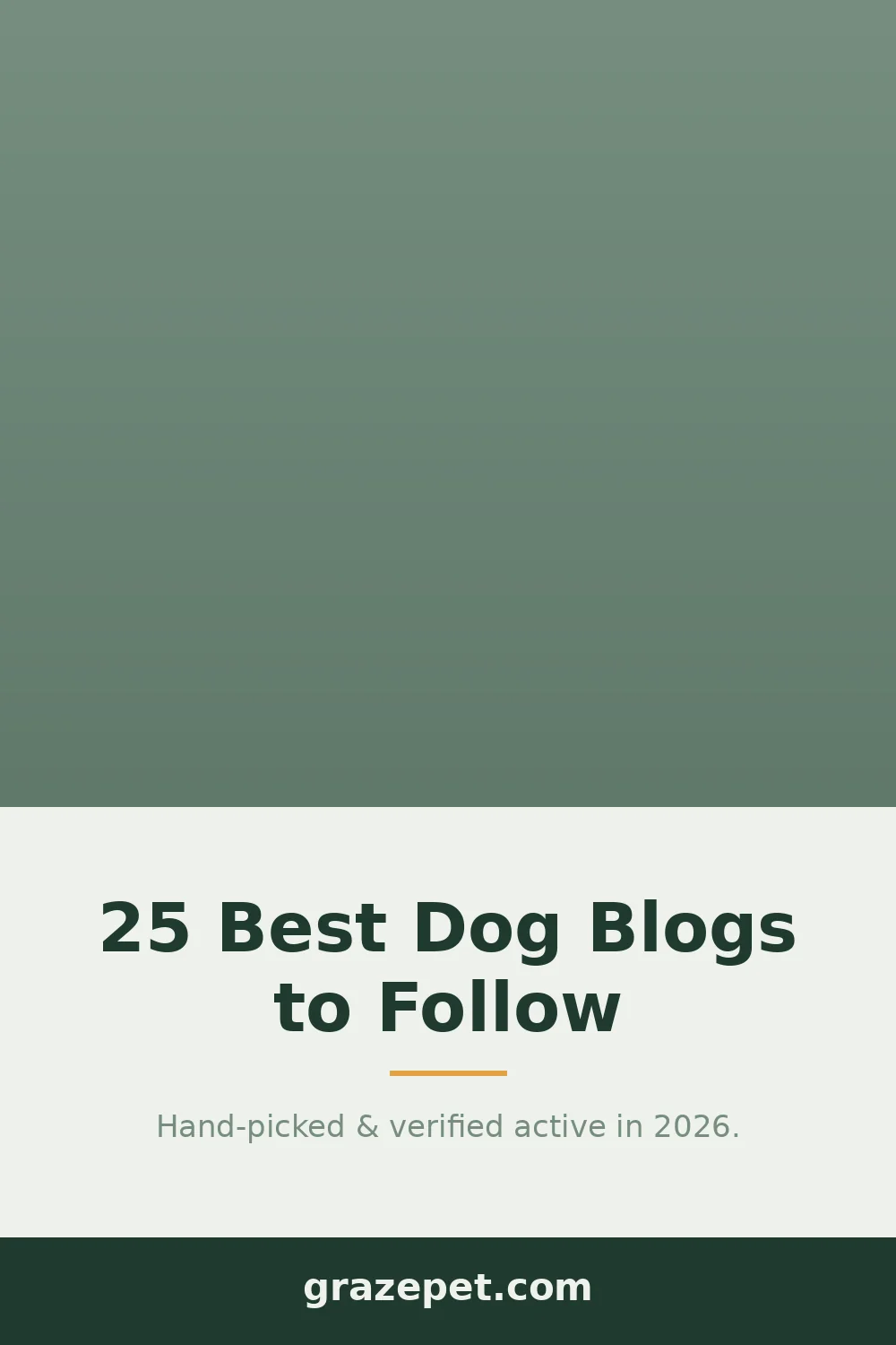 25 Best Dog Blogs to Follow in 2026 — save on Pinterest