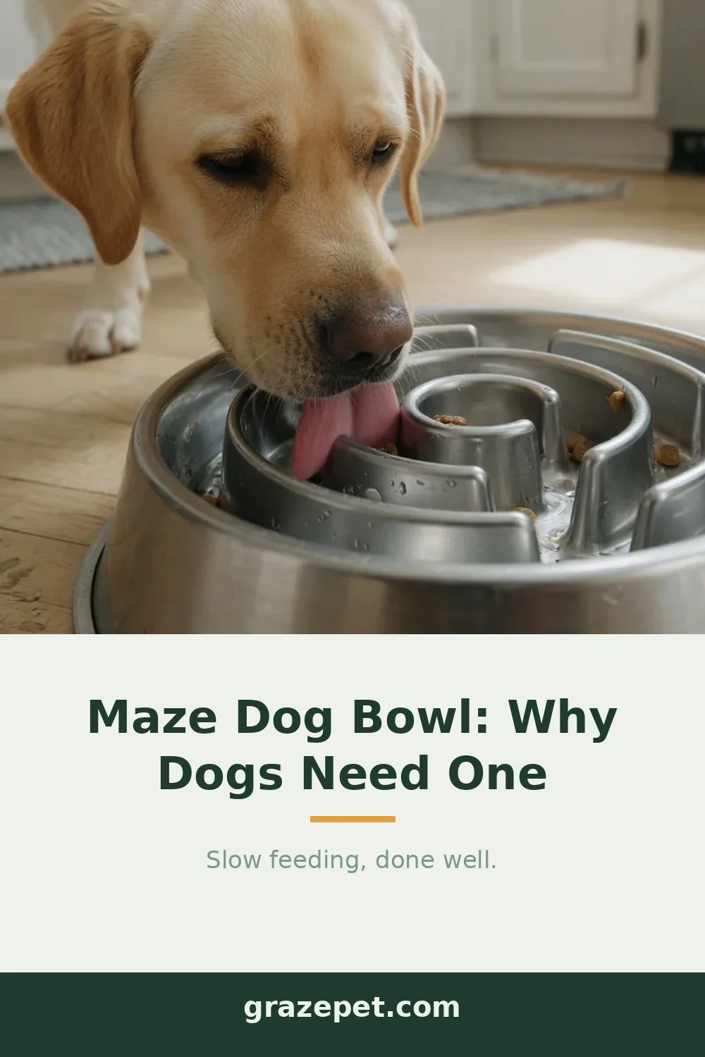 Maze Dog Bowl: What It Is & Why Dogs Need One — save on Pinterest