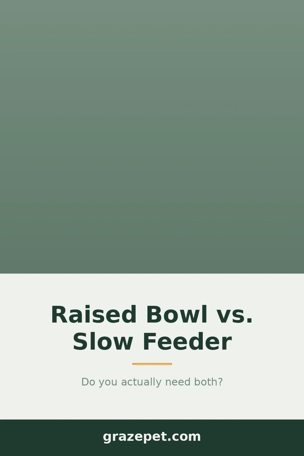 Raised Dog Bowl vs Slow Feeder: Do You Need Both? — save on Pinterest